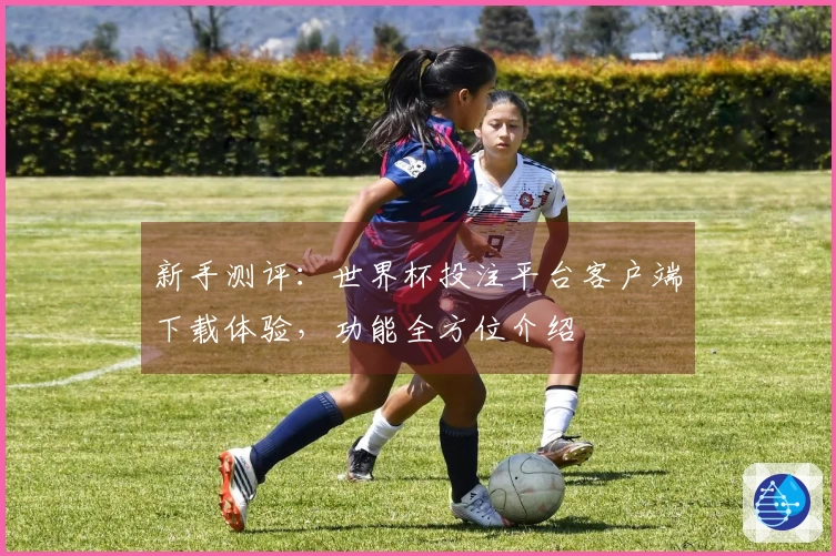 新手测评:世界杯投注平台客户端下载体验,功能全方位介绍