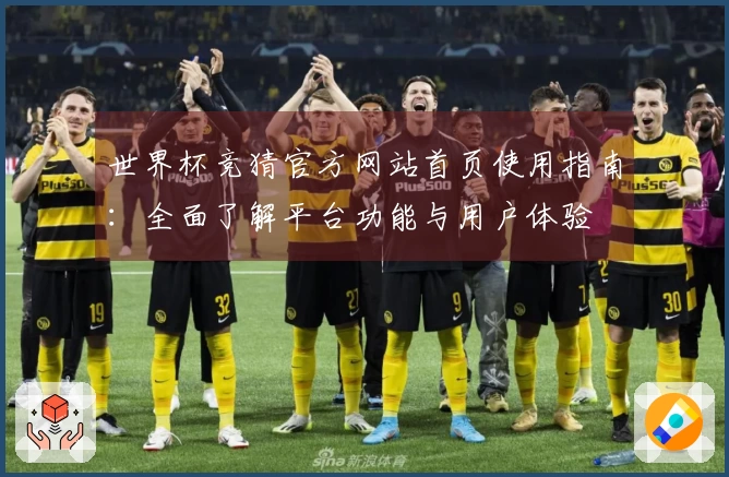 世界杯竞猜官方网站首页使用指南：全面了解平台功能与用户体验