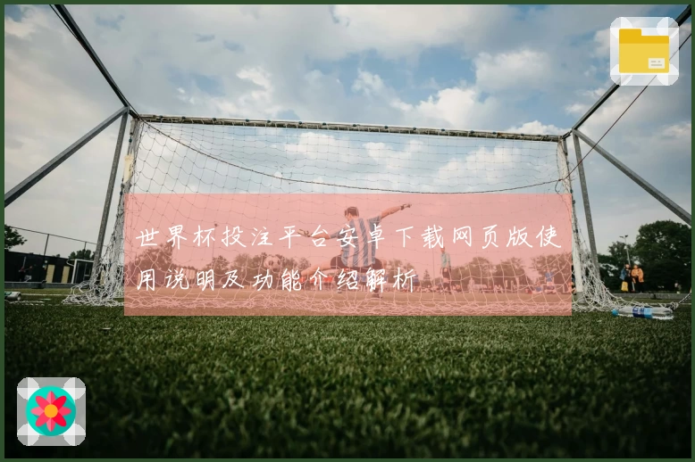 世界杯投注平台安卓下载网页版使用说明及功能介绍解析