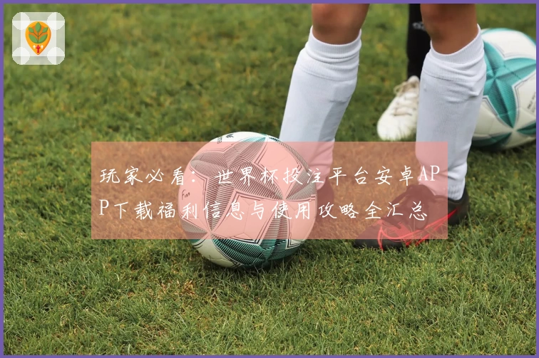 玩家必看:世界杯投注平台安卓APP下载福利信息与使用攻略全汇总