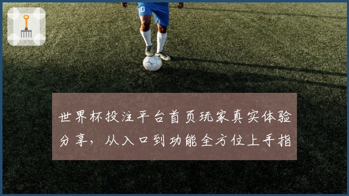世界杯投注平台首页玩家真实体验分享，从入口到功能全方位上手指南