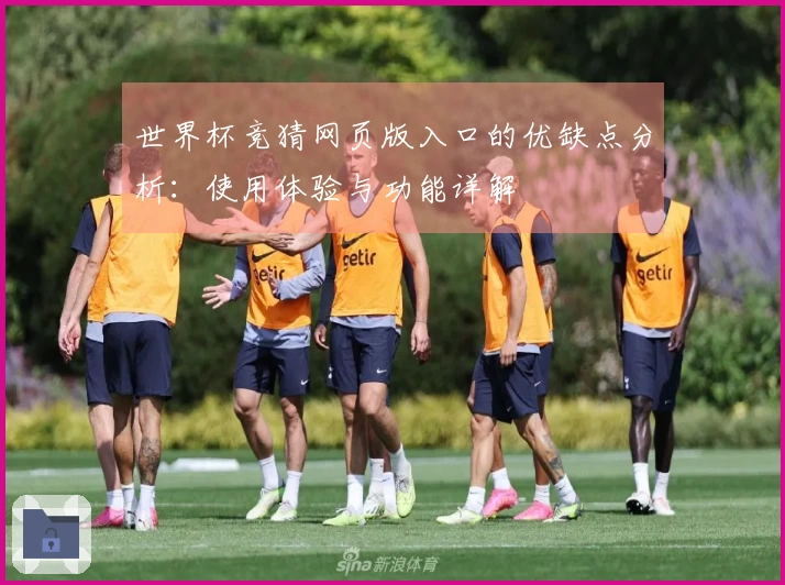 世界杯竞猜网页版入口的优缺点分析：使用体验与功能详解