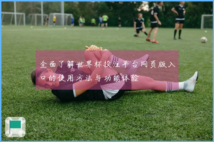全面了解世界杯投注平台网页版入口的使用方法与功能体验